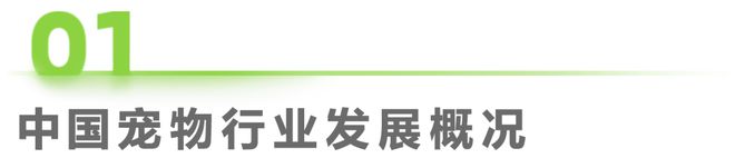 2024年中国宠物行业研究报告